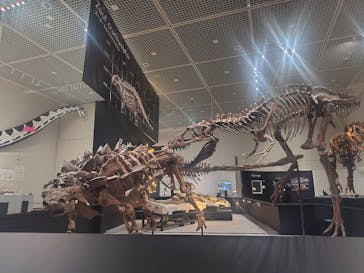 大阪市立自然史博物館に投稿された画像（2023/7/30）