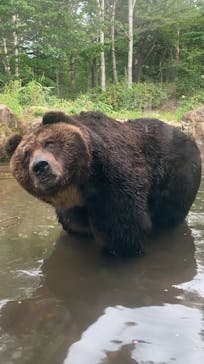 サホロリゾート　ベア･マウンテンに投稿された画像（2023/7/31）