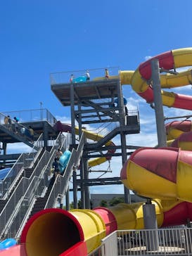 蓮沼ウォーターガーデンに投稿された画像（2023/7/31）