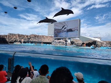 名古屋港水族館に投稿された画像（2023/7/31）
