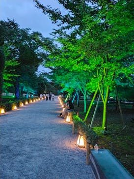 NAKED meets 二条城 2025 観月に投稿された画像（2023/7/31）