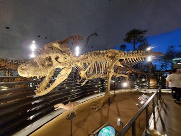 福井県立恐竜博物館に投稿された画像（2023/7/31）