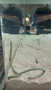 AOAO SAPPOROに投稿された画像（2023/7/31）