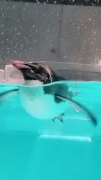 AOAO SAPPOROに投稿された画像（2023/7/31）