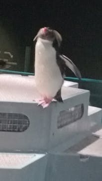 AOAO SAPPOROに投稿された画像（2023/7/31）