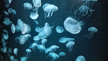 AOAO SAPPOROに投稿された画像（2023/7/31）