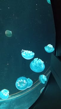 AOAO SAPPOROに投稿された画像（2023/7/31）