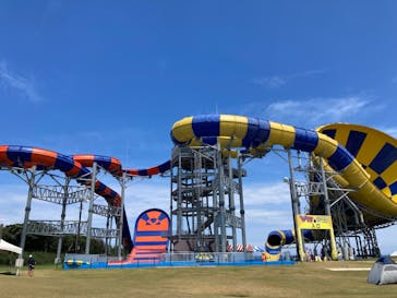 芝政ワールドに投稿された画像（2023/7/31）