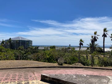 アロハガーデンたてやまに投稿された画像（2023/7/31）