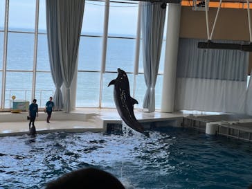 アクアワールド茨城県大洗水族館に投稿された画像（2023/7/31）