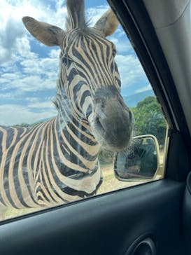 東北サファリパークに投稿された画像（2023/7/31）