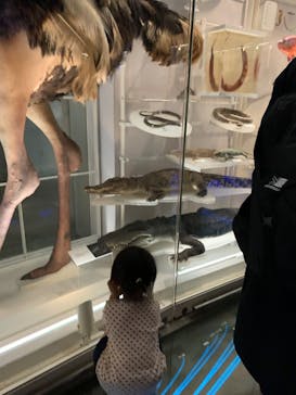 国立科学博物館に投稿された画像（2023/7/31）