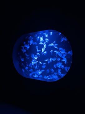 AOAO SAPPOROに投稿された画像（2023/7/31）