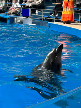 マクセル アクアパーク品川に投稿された画像（2023/7/31）