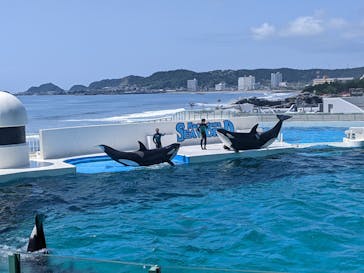 鴨川シーワールドに投稿された画像（2023/7/31）