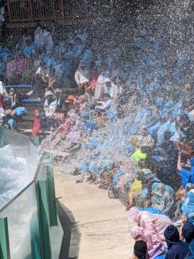 鴨川シーワールドに投稿された画像（2023/7/31）