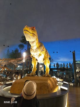 福井県立恐竜博物館に投稿された画像（2023/7/31）
