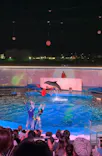 仙台うみの杜水族館に投稿された画像（2023/8/1）