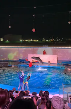 仙台うみの杜水族館に投稿された画像（2023/7/31）