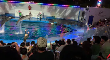 仙台うみの杜水族館に投稿された画像（2023/7/31）