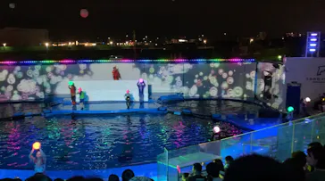仙台うみの杜水族館に投稿された画像（2023/7/31）