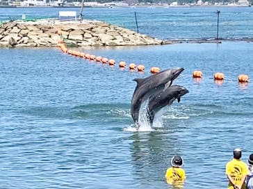 日間賀島ドルフィンビーチに投稿された画像（2023/7/31）