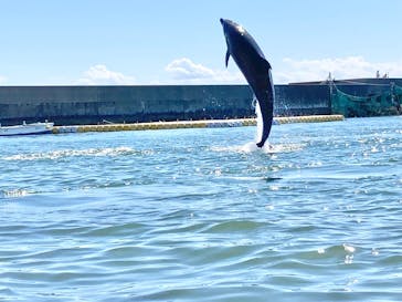 日間賀島ドルフィンビーチに投稿された画像（2023/7/31）