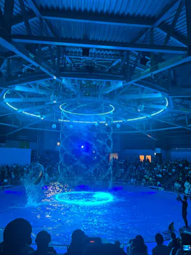 マクセル アクアパーク品川に投稿された画像（2023/8/1）