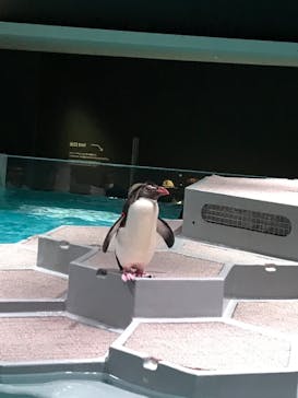 AOAO SAPPOROに投稿された画像（2023/8/1）