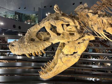 福井県立恐竜博物館に投稿された画像（2023/8/1）