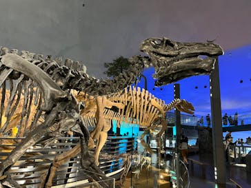 福井県立恐竜博物館に投稿された画像（2023/8/1）
