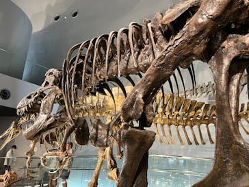 福井県立恐竜博物館に投稿された画像（2023/8/1）