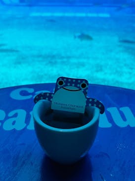 沖縄美ら海水族館に投稿された画像（2023/8/1）