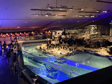 すみだ水族館に投稿された画像（2023/8/1）