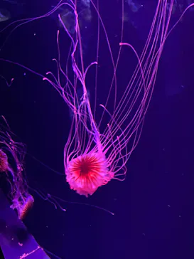 すみだ水族館に投稿された画像（2023/8/1）