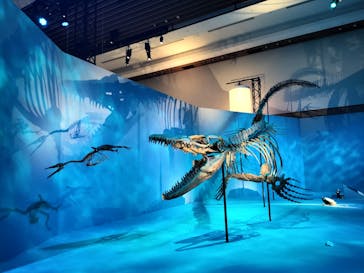 DinoScience 恐竜科学博 2023@TOKYO MIDTOWNに投稿された画像（2023/8/1）