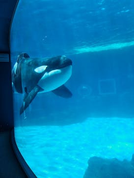 名古屋港水族館に投稿された画像（2023/8/1）