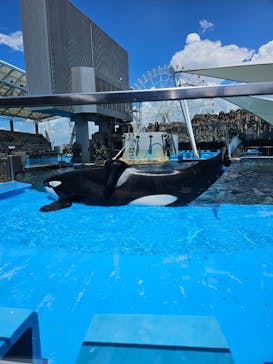 名古屋港水族館に投稿された画像（2023/8/1）