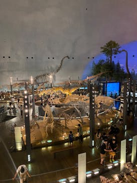 福井県立恐竜博物館に投稿された画像（2023/8/1）