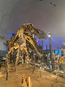 福井県立恐竜博物館に投稿された画像（2023/8/1）