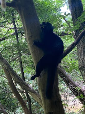 長崎バイオパークに投稿された画像（2023/8/1）