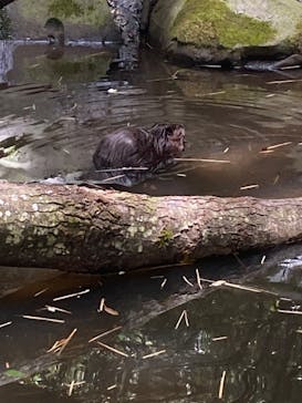 長崎バイオパークに投稿された画像（2023/8/1）