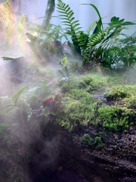 AOAO SAPPOROに投稿された画像（2023/8/1）