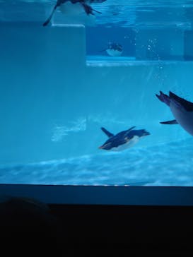 AOAO SAPPOROに投稿された画像（2023/8/1）