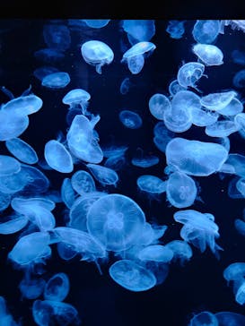 AOAO SAPPOROに投稿された画像（2023/8/1）