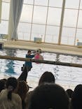 アクアワールド茨城県大洗水族館に投稿された画像（2023/8/1）