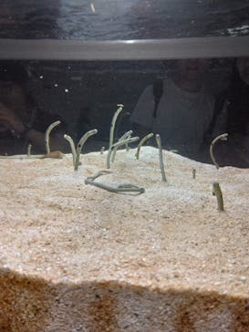 AOAO SAPPOROに投稿された画像（2023/8/1）