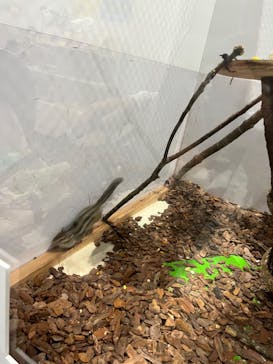 特別展「ざんねんないきもの事典」に投稿された画像（2023/8/1）