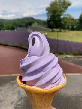 たんばらラベンダーパークに投稿された画像（2023/8/1）