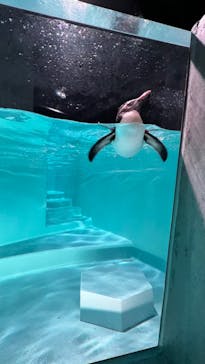 AOAO SAPPOROに投稿された画像（2023/8/1）